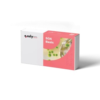 SOA Basis Test VROUW